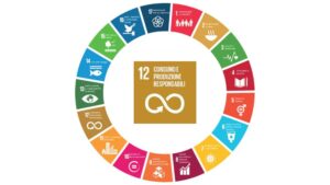 Agenda 2030 Obiettivo 12: Consumo e produzione responsabili